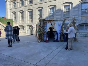 IMG 6895
